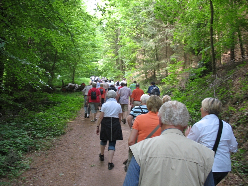 Wanderung 2011 022.jpg